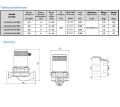 2a.jpg