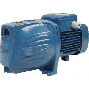 Pompa ssąca JSWm 2A Pedrollo 230V